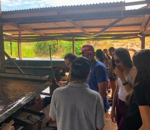 Alunos de Direito da FAAr visitam Garimpo do Bom Futuro