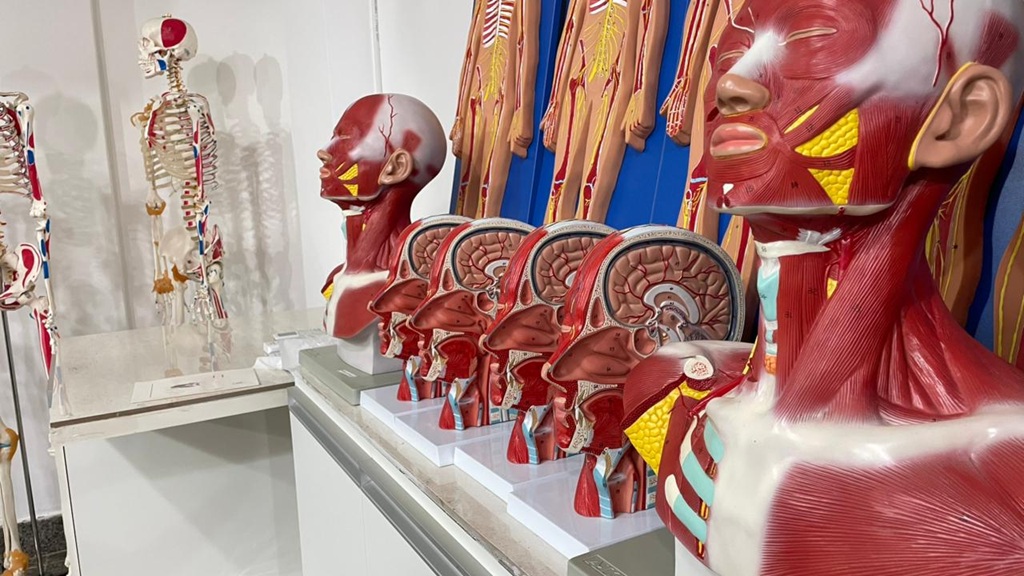 Estrutura destinada às atividades práticas de Anatomia Humana