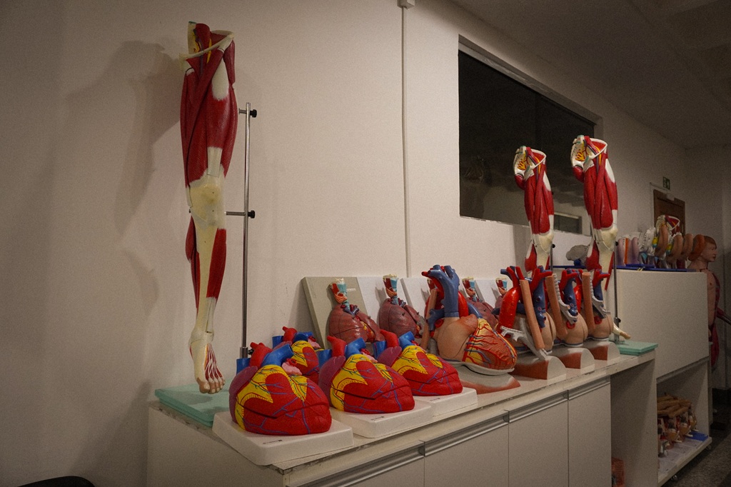 Laboratório de Anatomia