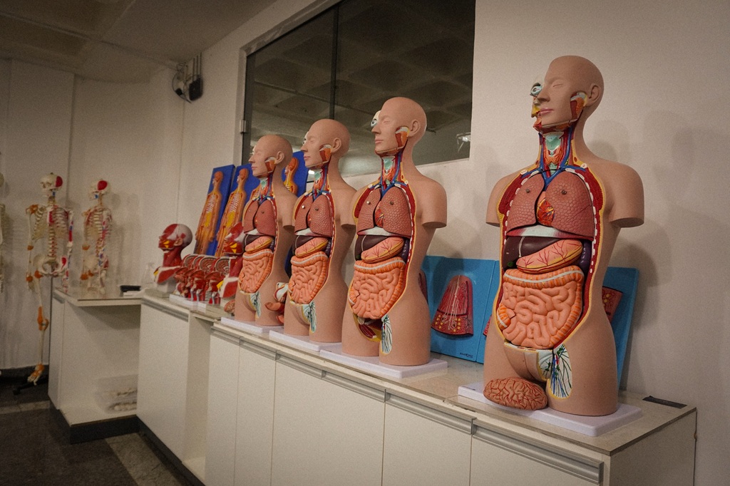 Laboratório de Anatomia
